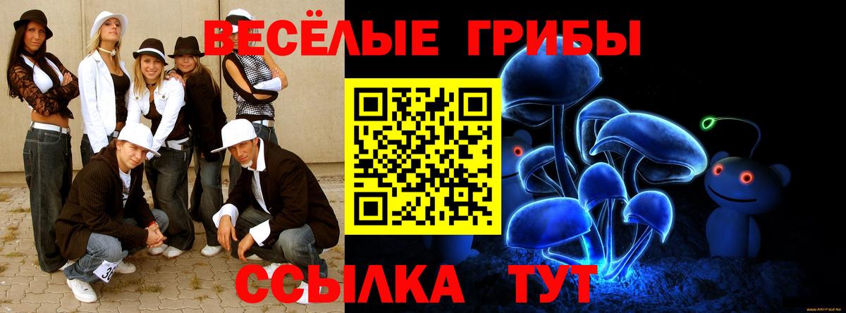 Россия  Галлюциногенные грибы мицелий  Вход с VPN 
