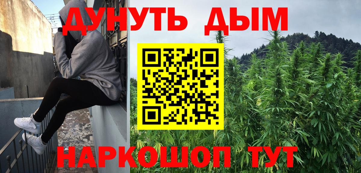 Канабис гибрид  Вход с VPN  Бошки марихуана гибрид  Россия  Марихуана конопля 